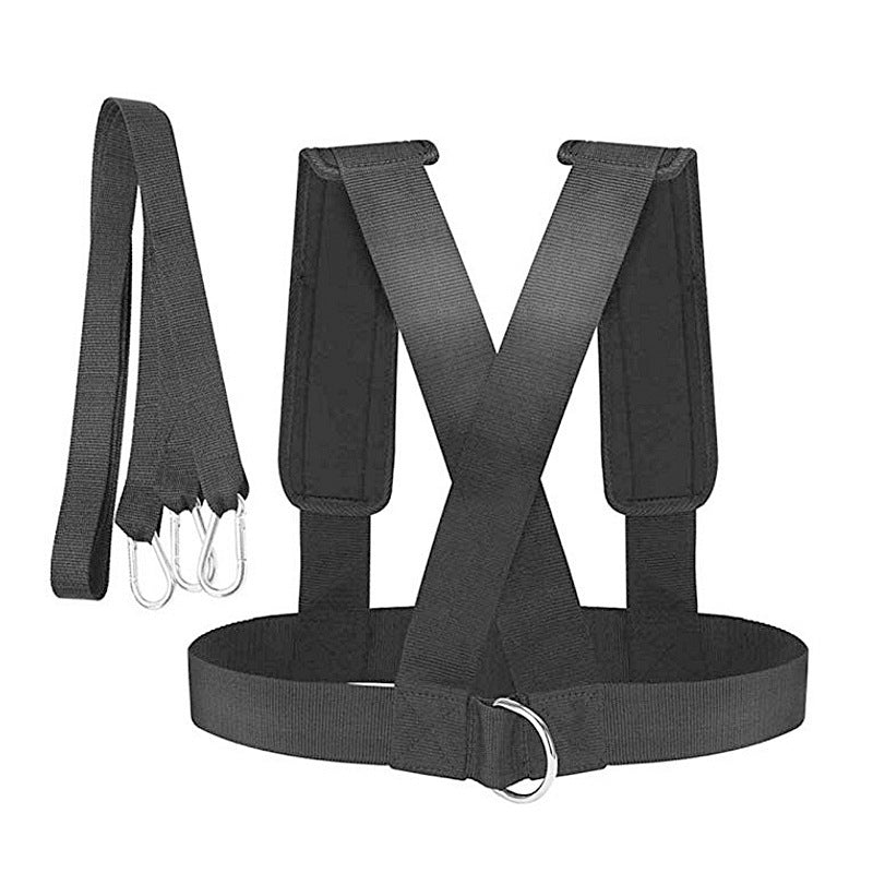 Weight Plate Resistance Harness - Fitness Snips